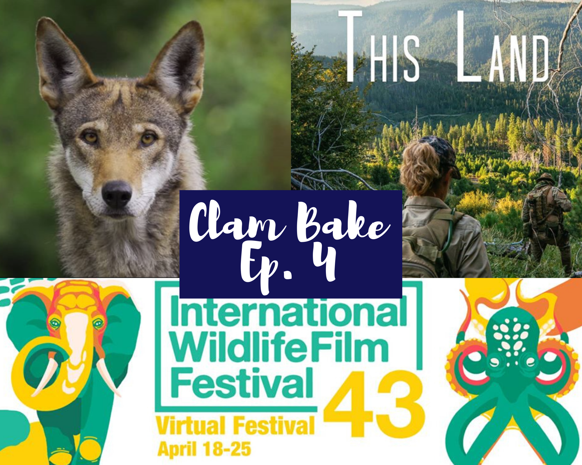 Episode 4: International Wildlife Film Festival — KBGA Missoula